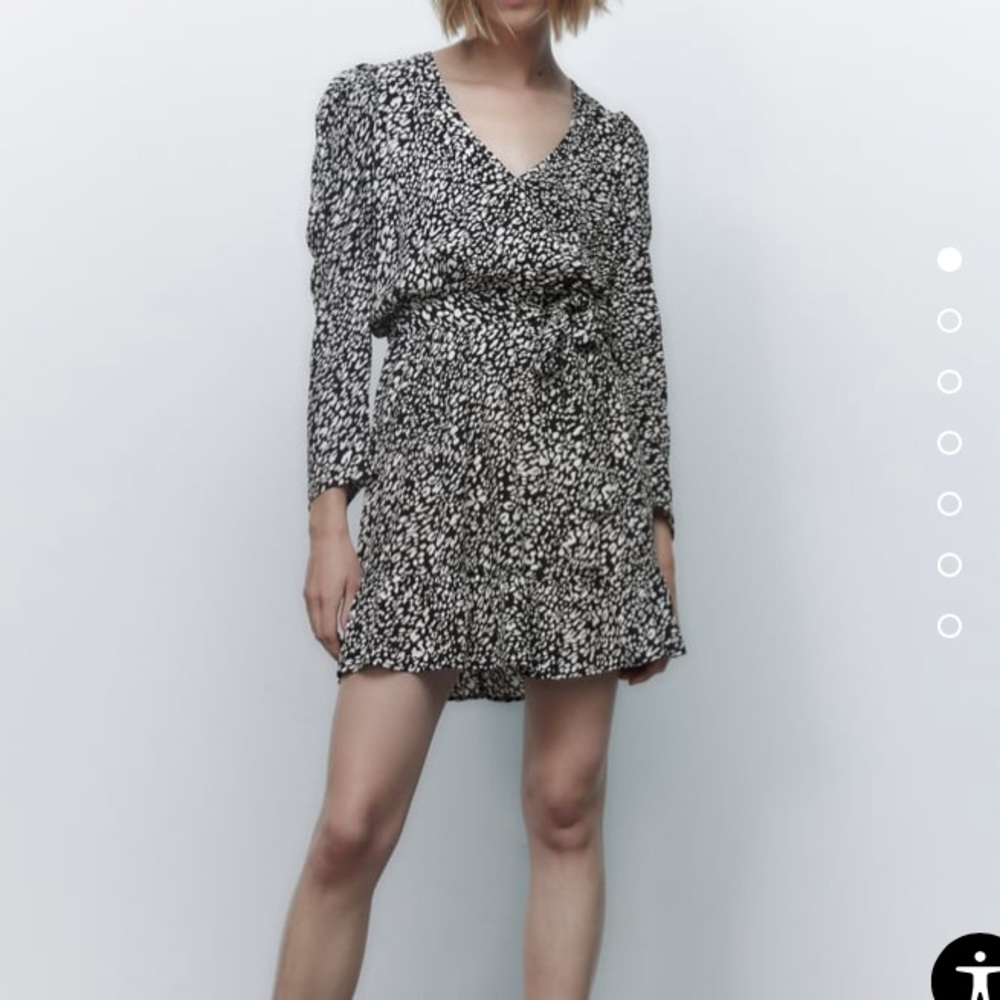Zara Animal Print Short Dress